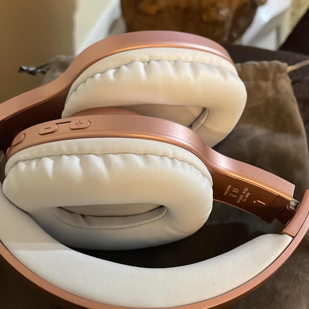 NWT Stiive wireless headphones H10